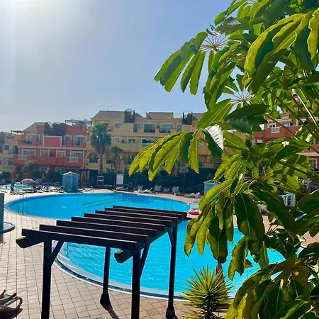 Prime Americas Getaway - With Huge Private Terrace & Pool Access דירה *